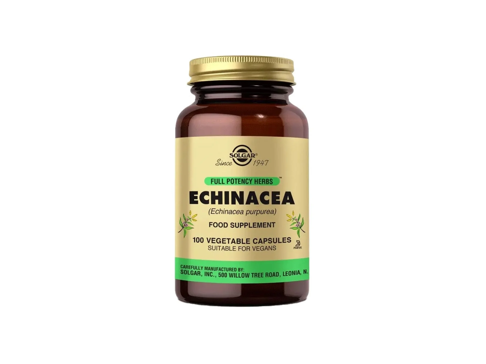 Solgar Echinacea 520 mg 100 Kapsül