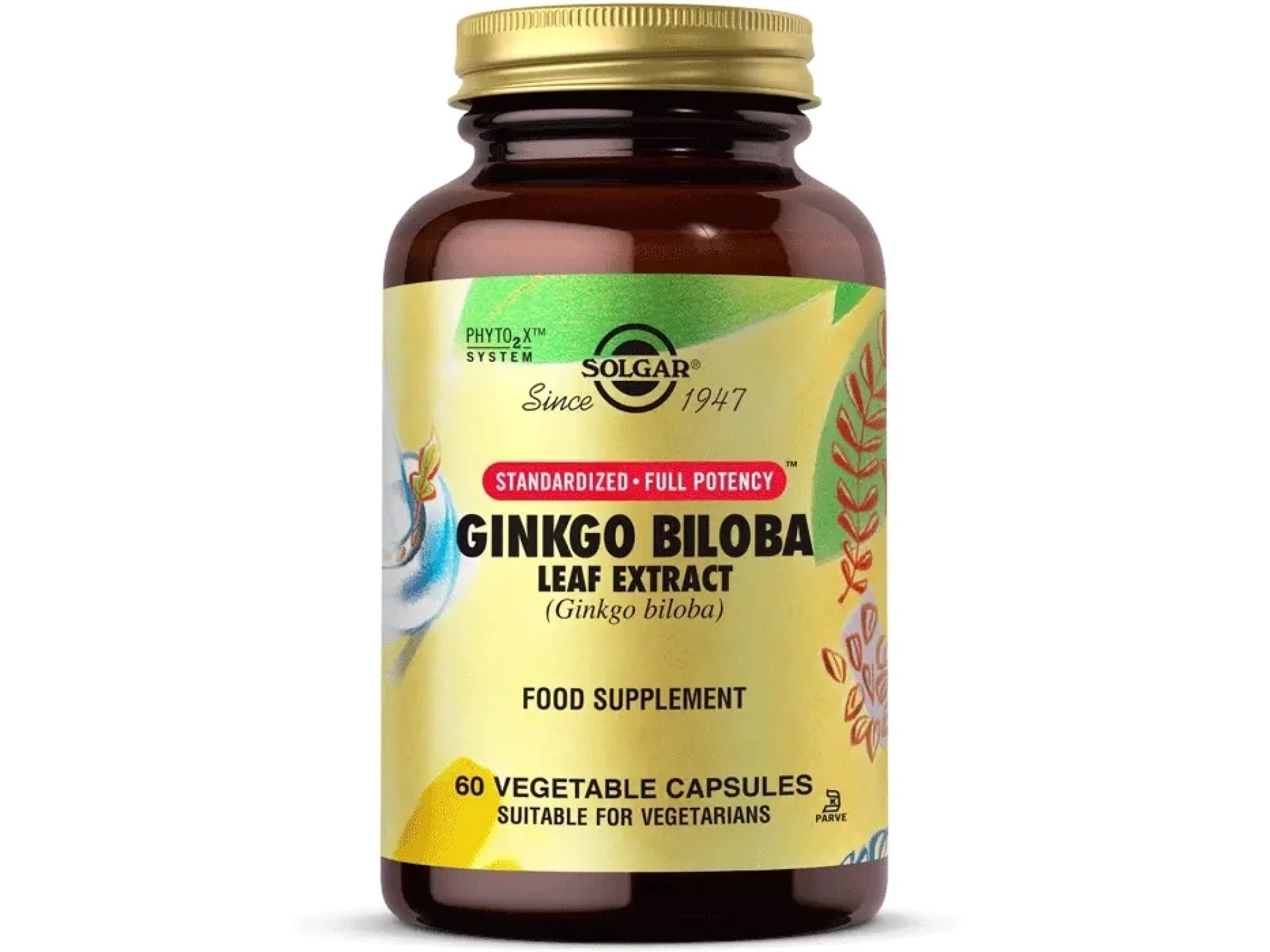 Solgar Ginkgo Biloba Leaf Extract 60 Kapsül