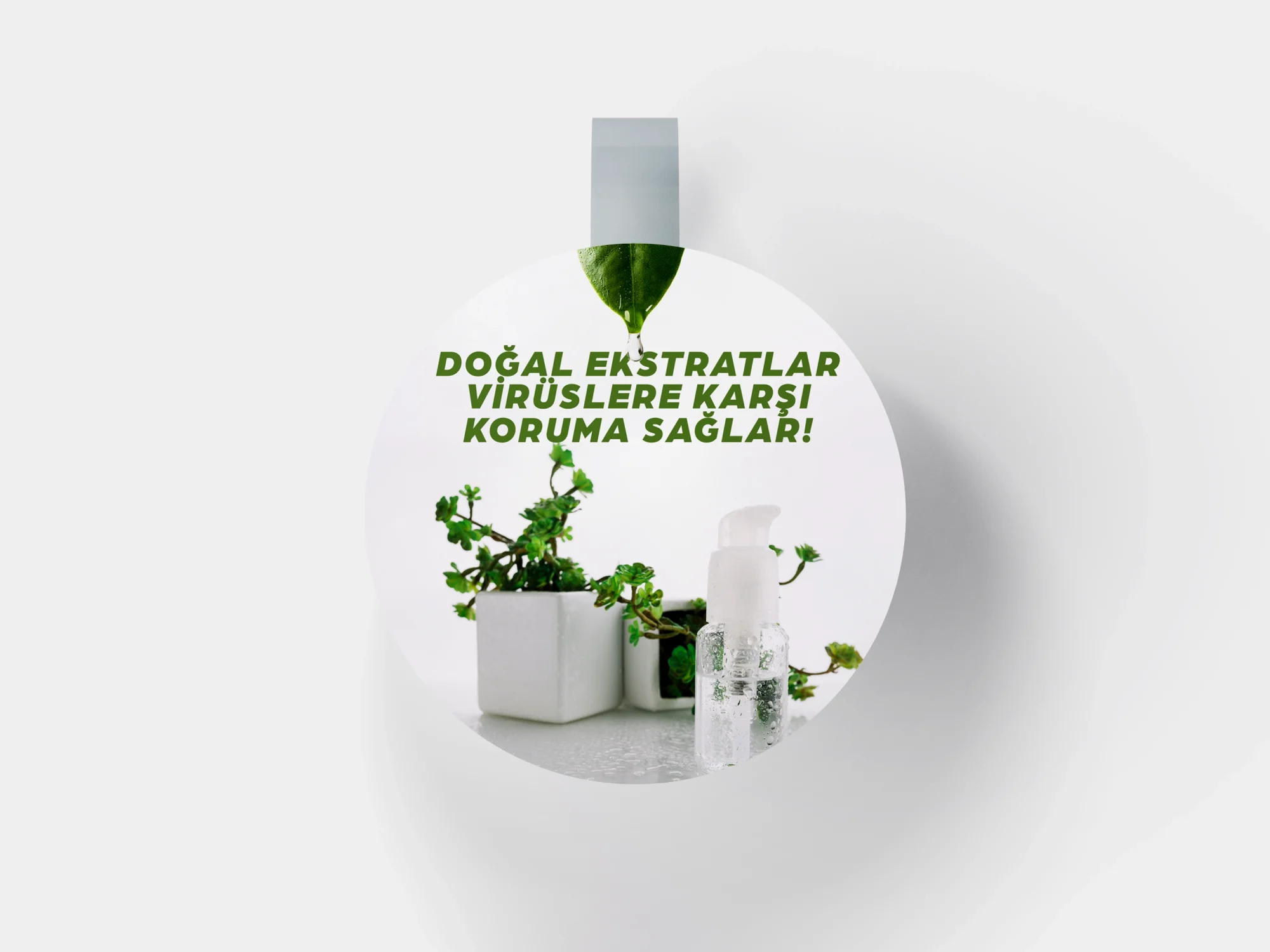 Wobbler No:68 Doğal Ekstratlar