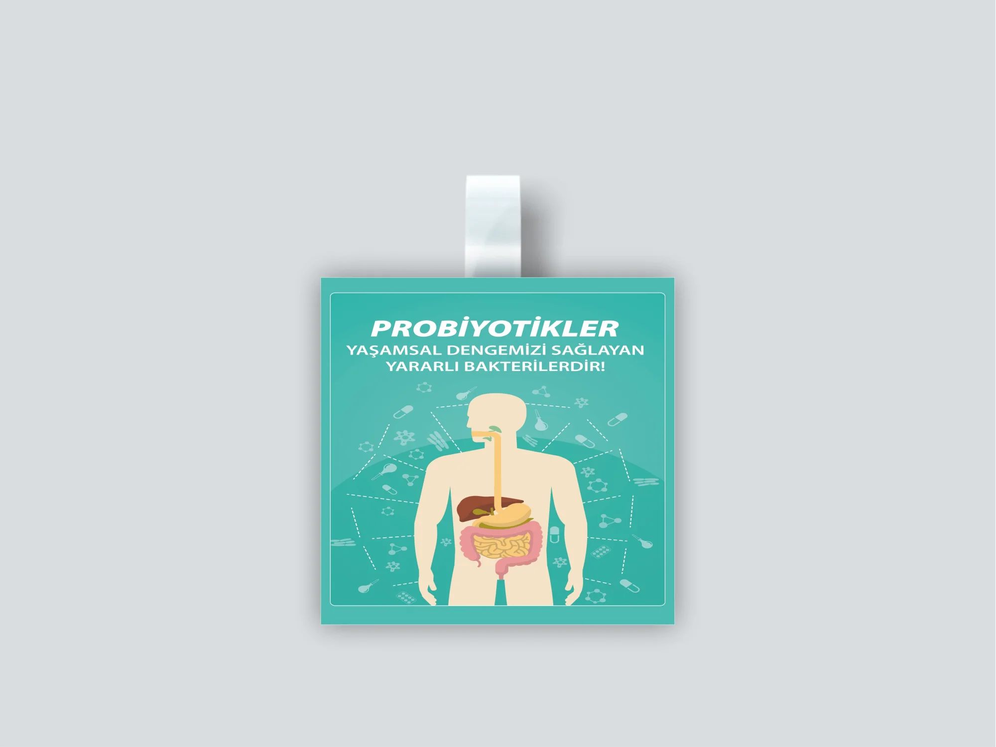 Wobbler  Probiyotikler