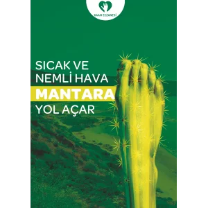 Mantar Afiş & Poster No:1