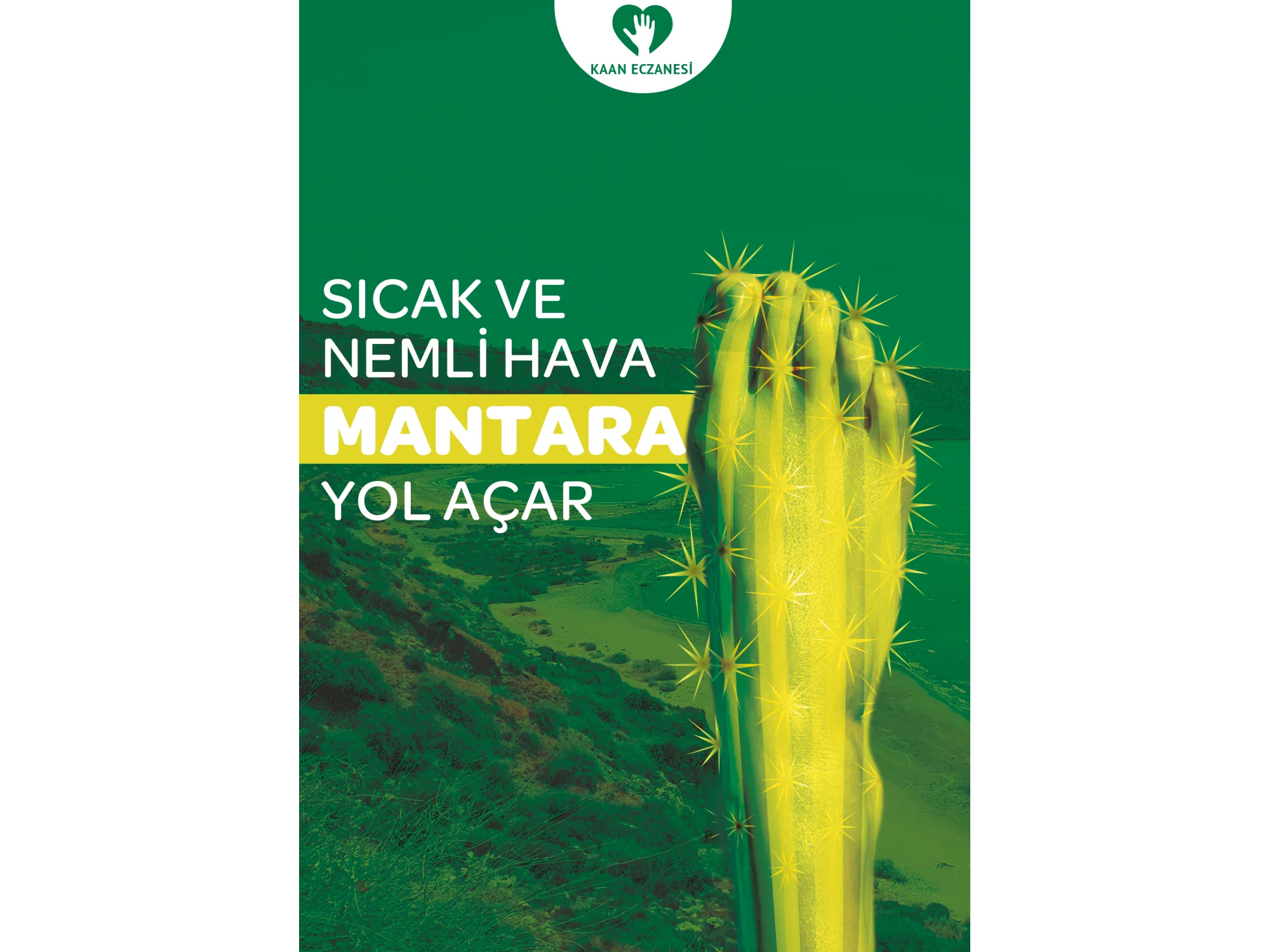 Mantar Afiş & Poster No:1