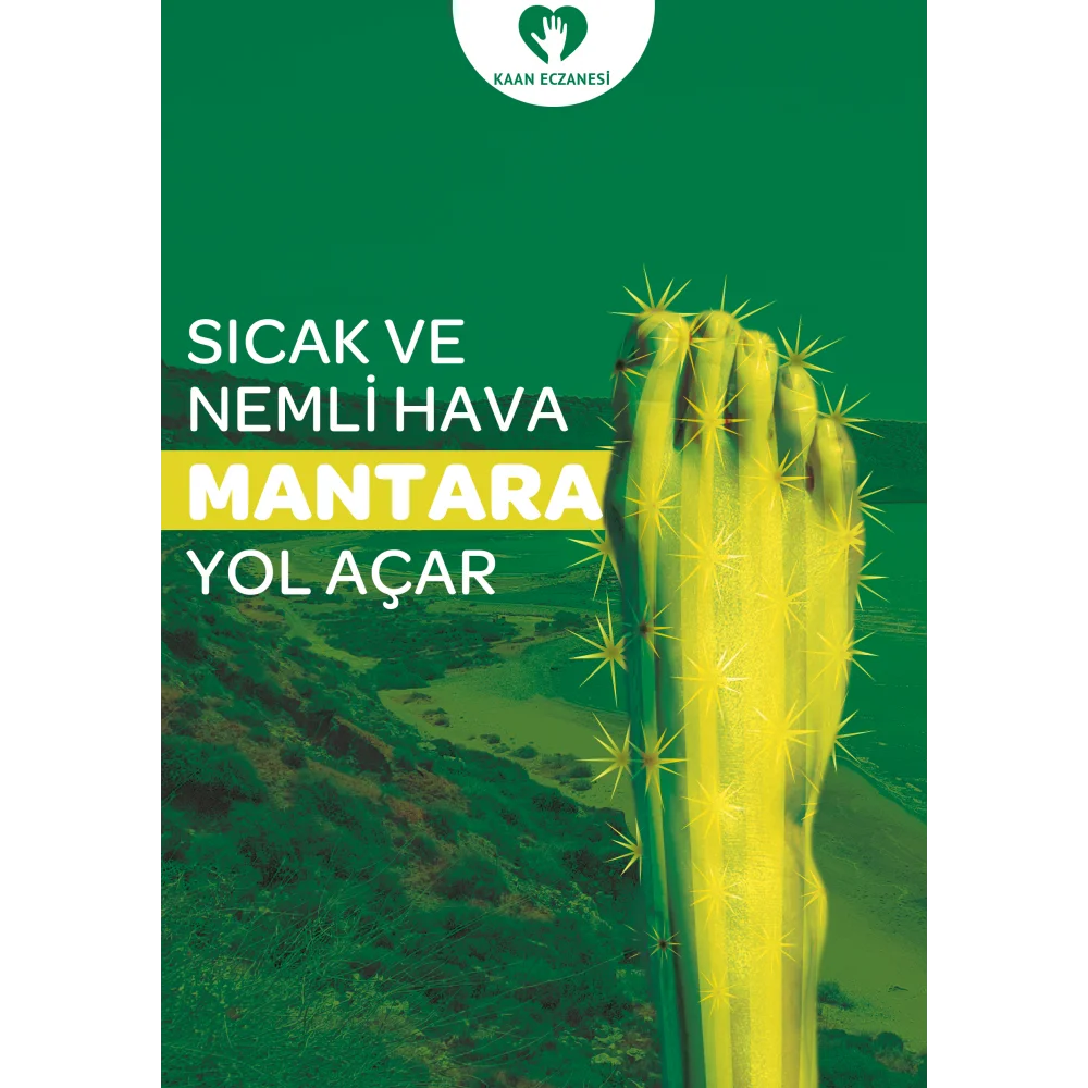 Mantar Afiş & Poster No:1