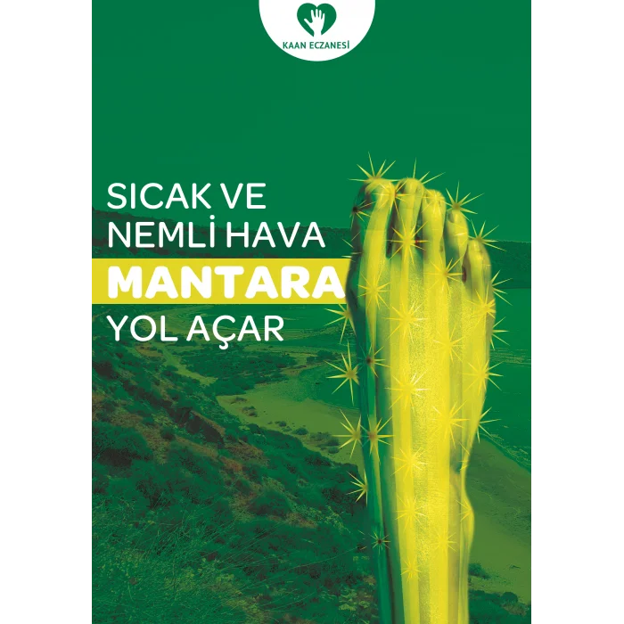 Mantar Afiş & Poster No:1