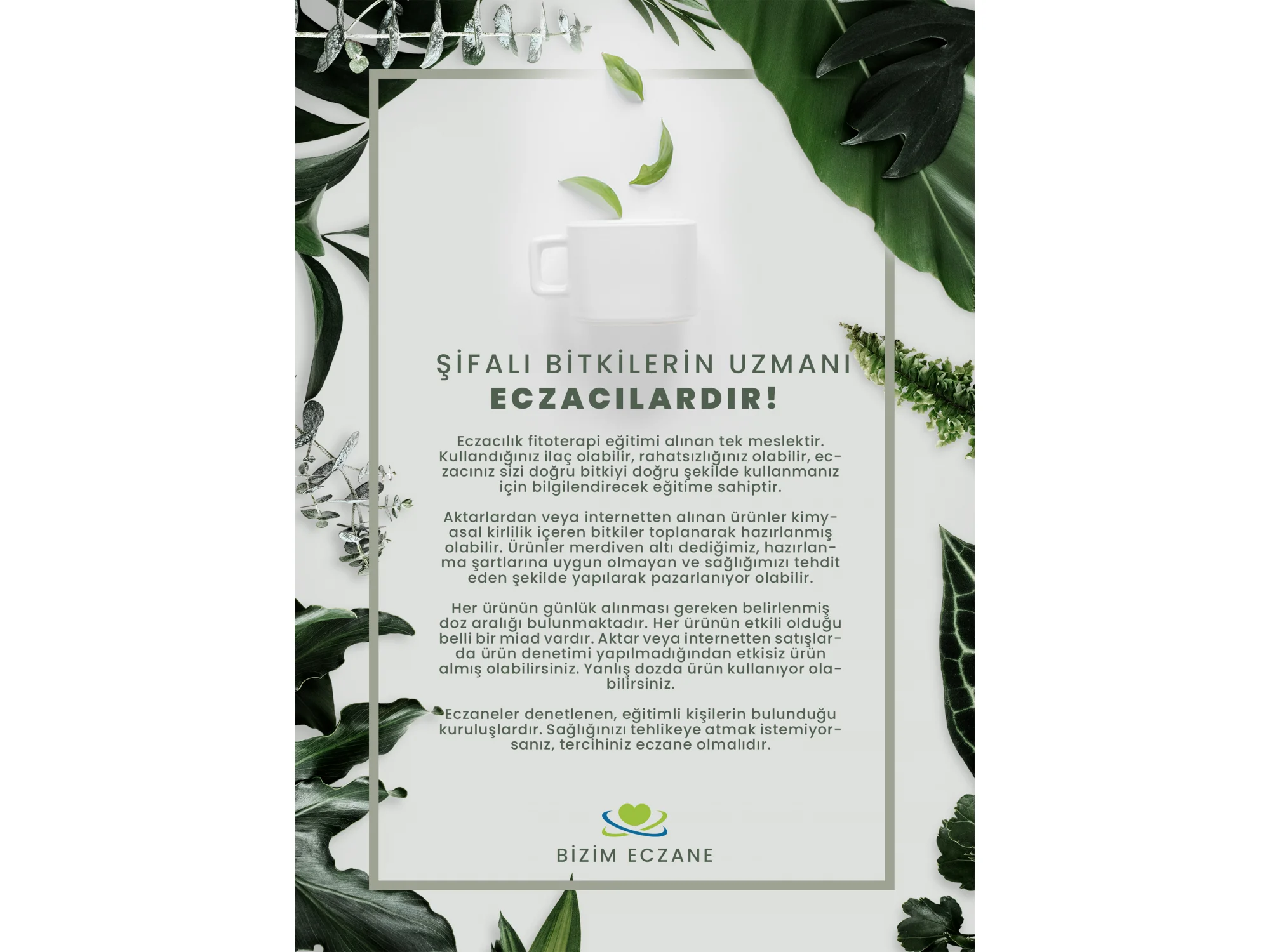 Şifalı Bitkiler Afiş & Poster