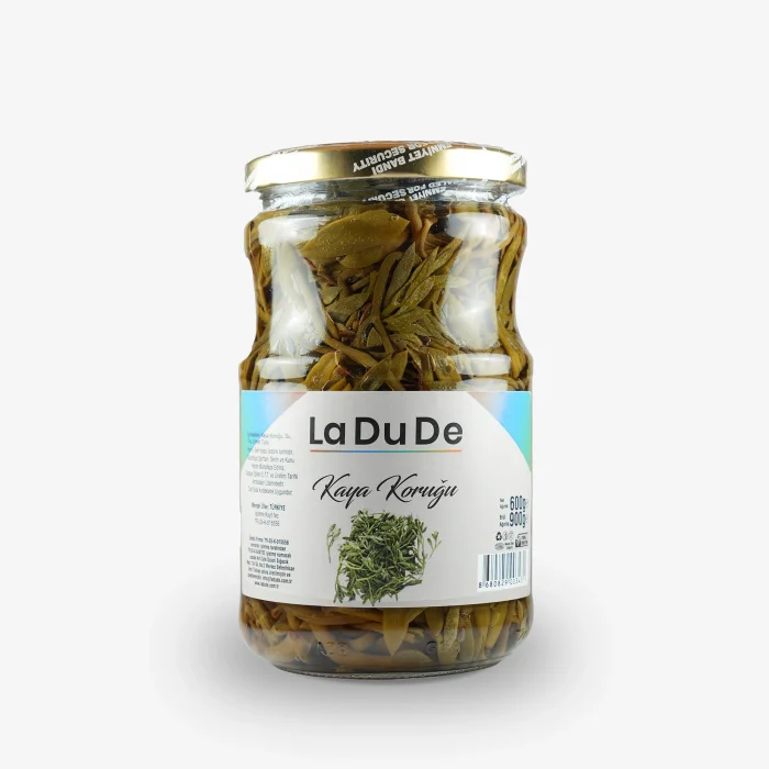Kaya Koruğu