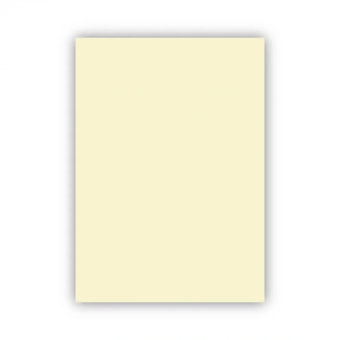 Alex Kolej Fon Kartonu 50x70 Fildişi 160 Gr 100 Lü 1002