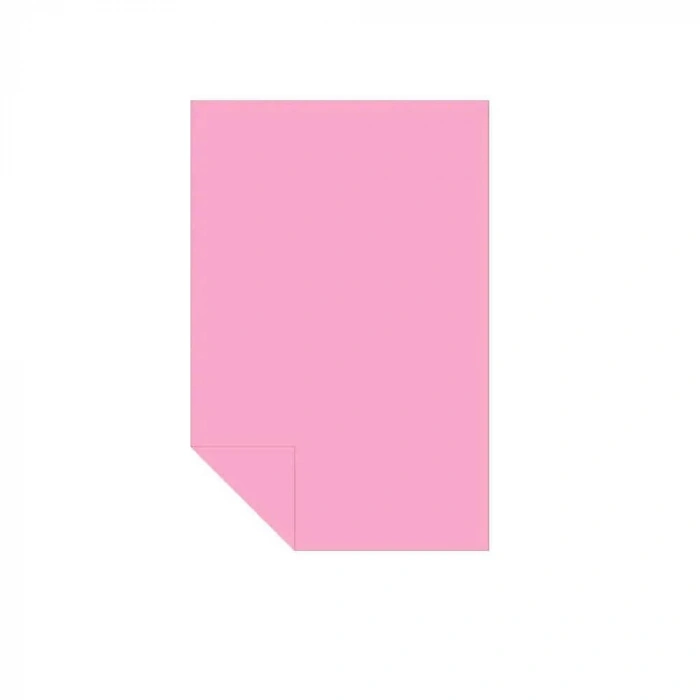 Alex Kolej Fon Kartonu 50x70 Pembe 160 Gr 100 Lü 1010