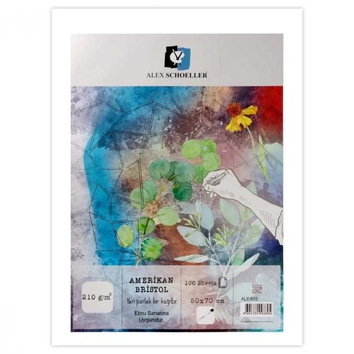 Alex Schoeller Bristol Kağıdı 210gr 50x70cm Amerikan ALX-805