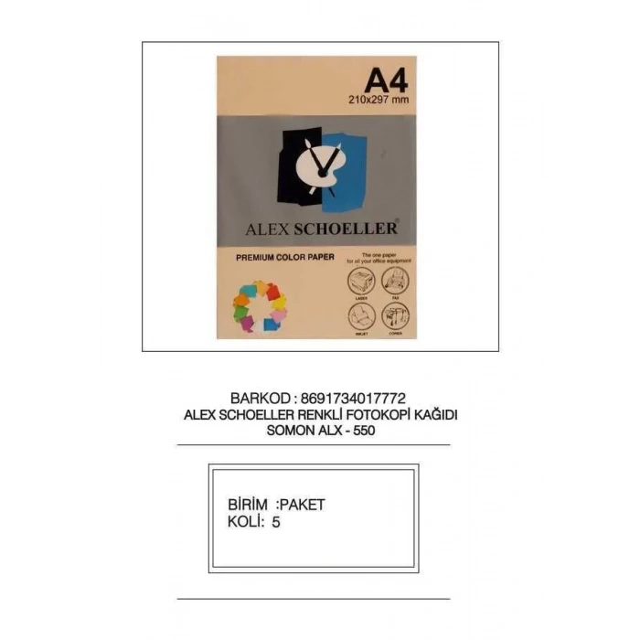 Alex Schoeller Fotokopi Kağıdı Renkli A4 500lü 550 Somon