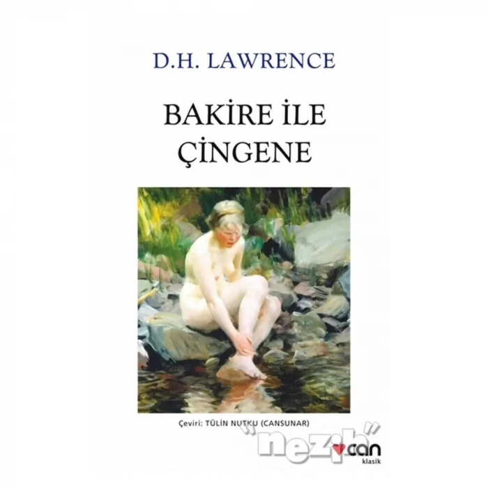 Bakire İle Çingene