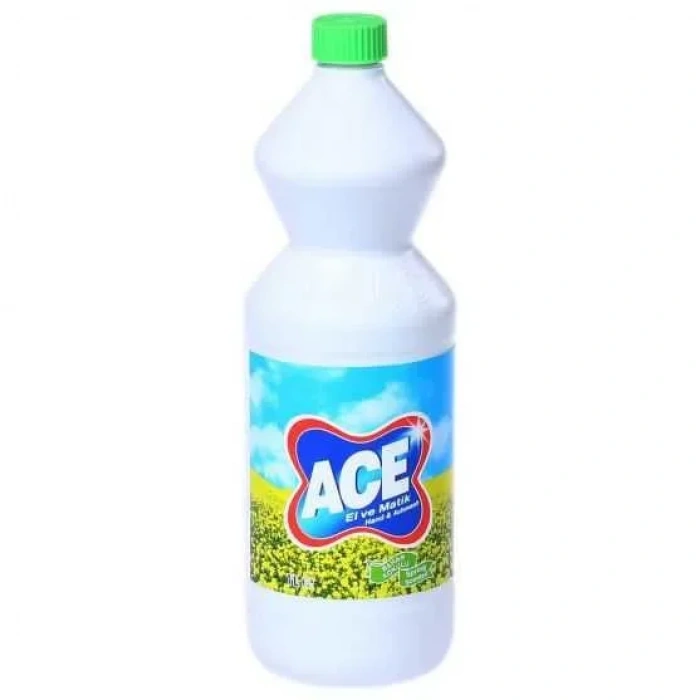 Beyin Bey’in Taşıtları