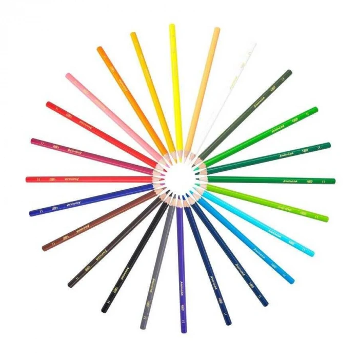 Bic Aquacouleur Kuru Sulu Boya Kalemi 12li