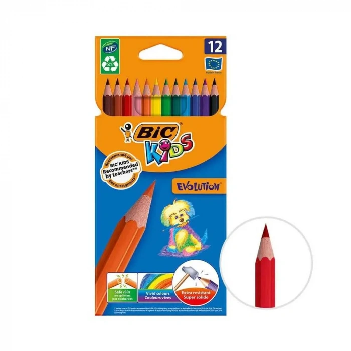 Bic Evolution Kuru Boya 12li 82902910