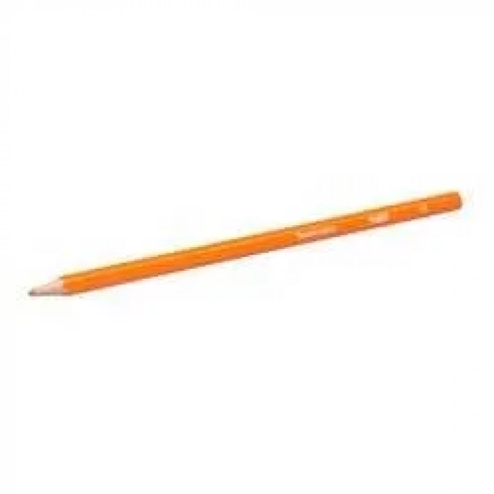 Bic Tropicolors 2 Kuru Boya Tam Boy 12li