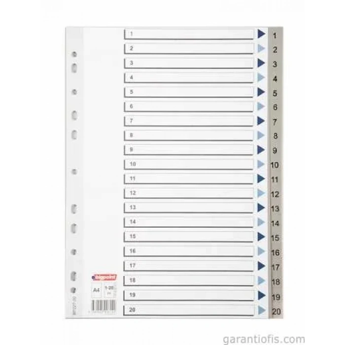 BigPoint 1-20 Rakamlı Seperatör