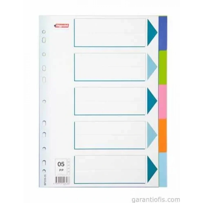 BigPoint 5 Renkli Seperatör