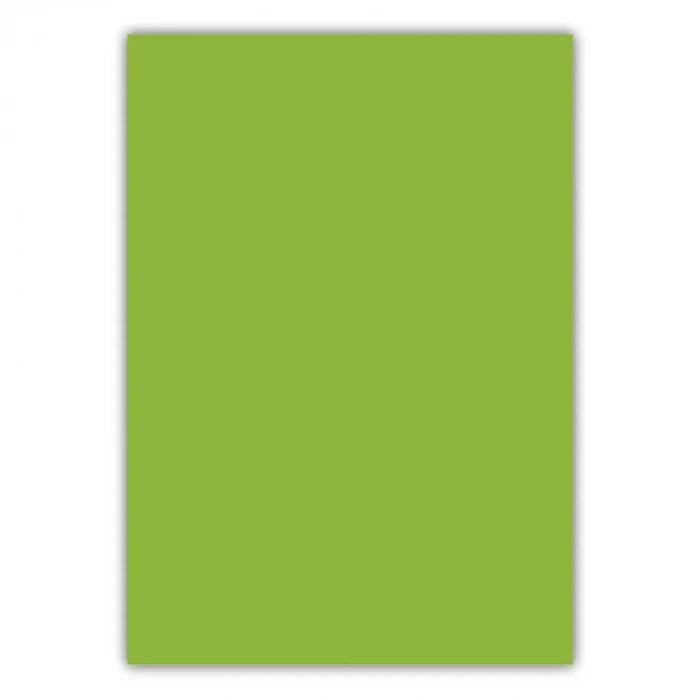 Bigpoint A4 Cilt Kapağı 150 Mikron Opak Açık Yeşil 100lü Paket