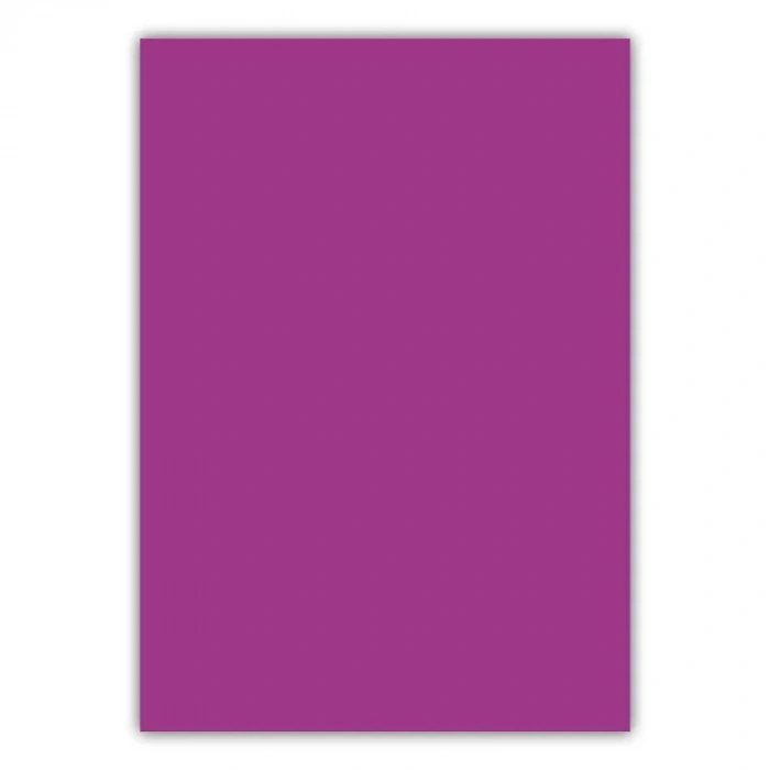Bigpoint A4 Cilt Kapağı 150 Mikron Opak Mor 100lü Paket