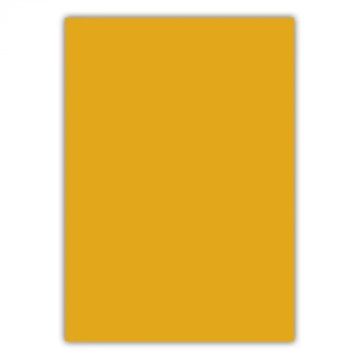 Bigpoint A4 Cilt Kapağı 150 Mikron Opak Turuncu 100lü Paket