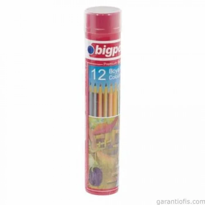 BİGPOİNT BP 941 Metal Tüp Tam Boy Kuru Boya (12 Renk)