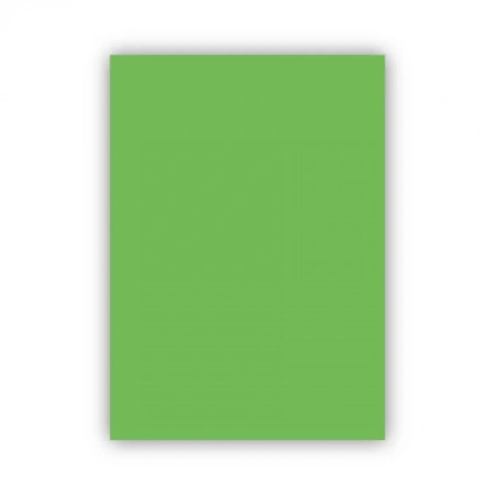 Bigpoint Fon Kartonu 50x70cm 120 Gram Açık Yeşil