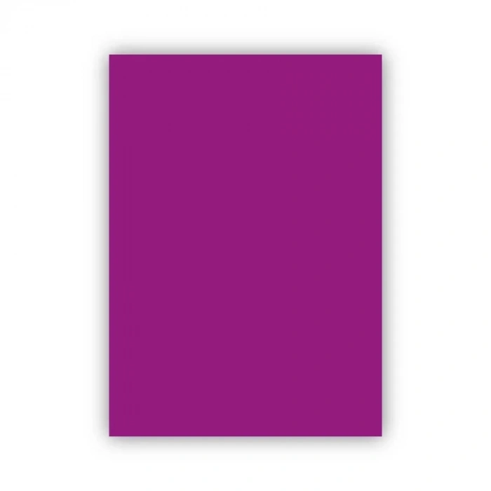 Bigpoint Fon Kartonu 50x70cm 120 Gram Mor