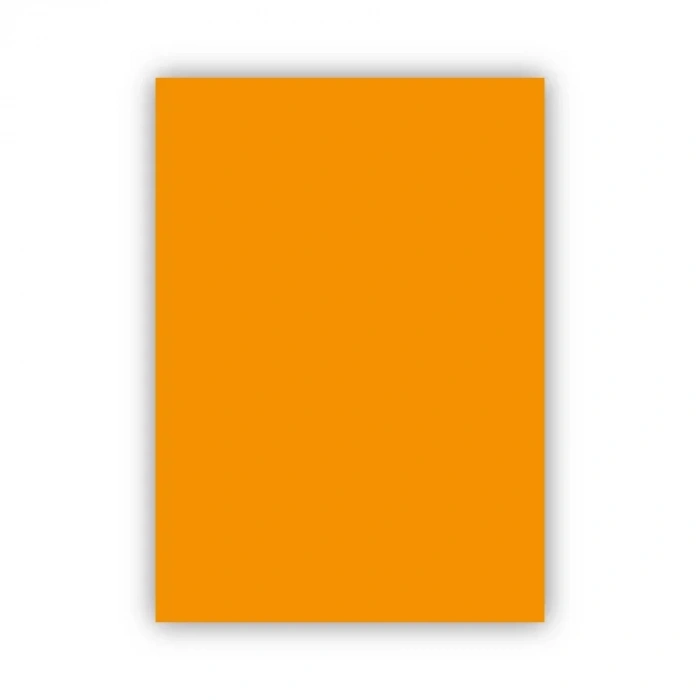 Bigpoint Fon Kartonu 50x70cm 160 Gram Turuncu