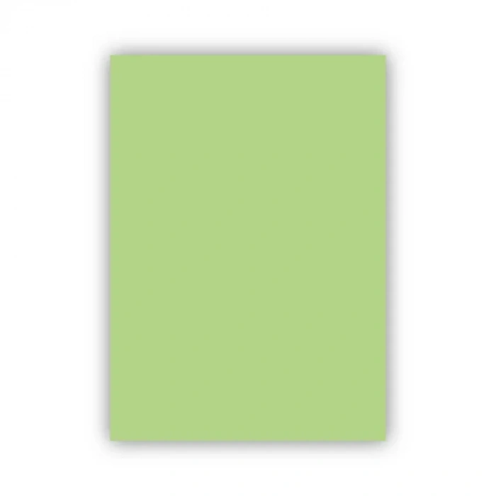 Bigpoint Fon Kartonu 50x70cm 160 Gram Uçuk Yeşil