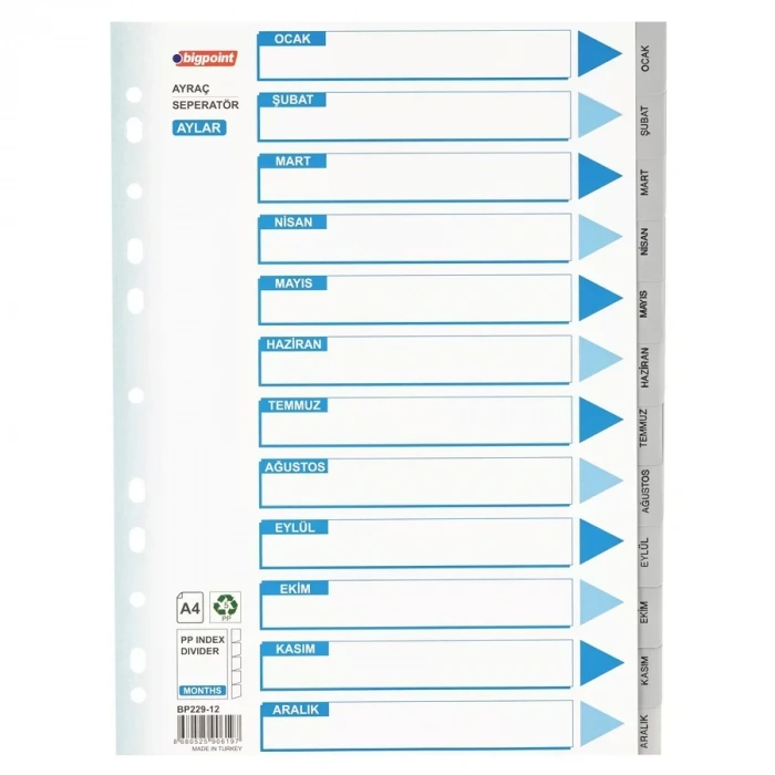 Bigpoint Pp Seperatör Aylar