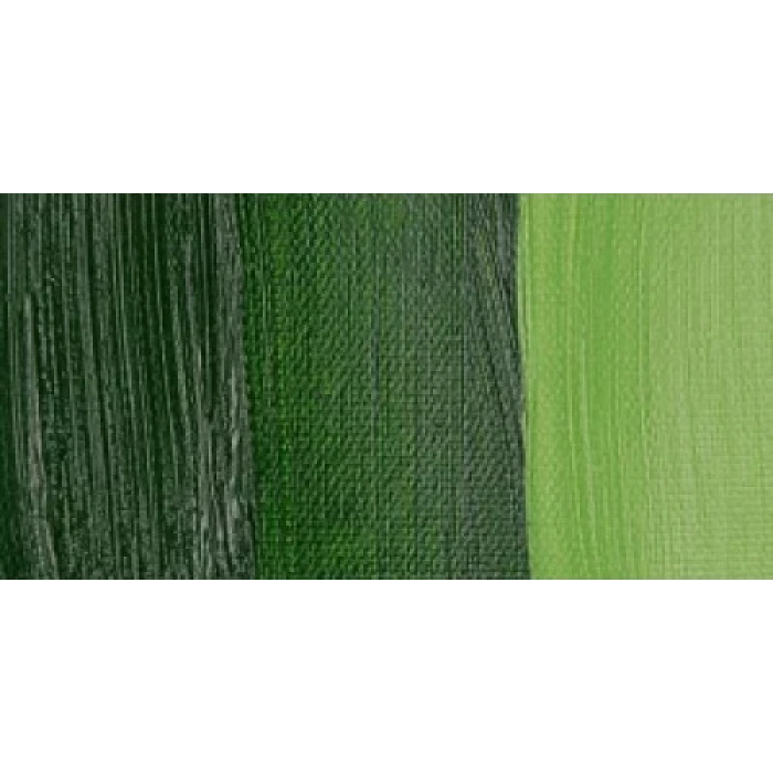 Bob Ross Yağlı Boya Çiçek Serisi 37ml-6709 Sap Green