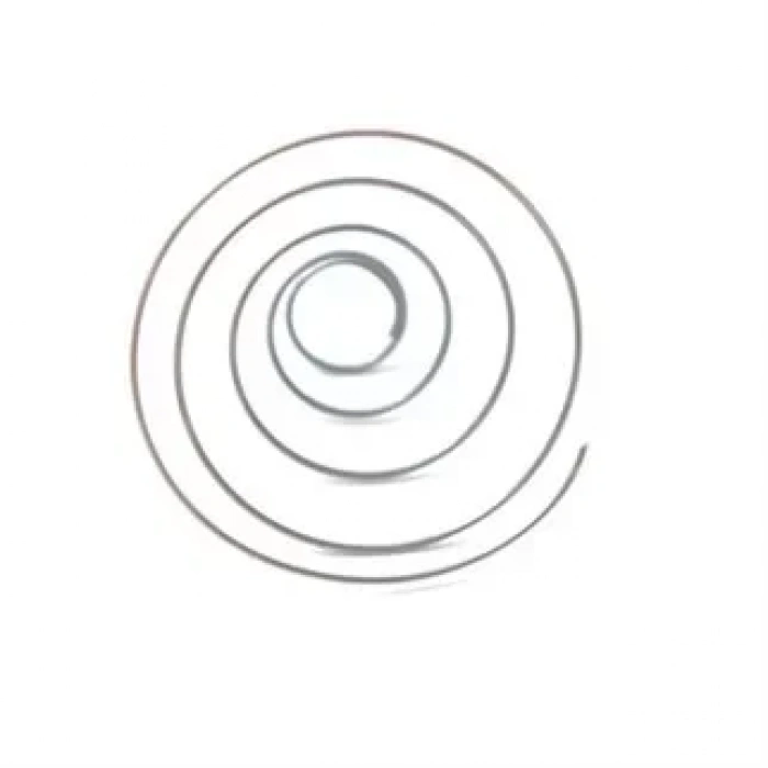 Brother Çift İğne Makinesi Mekik İç Yayı 156557-001