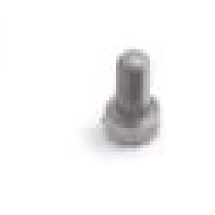 Brother Overlok 4 İp Alttan Vidalı Plaka Dil Vidası