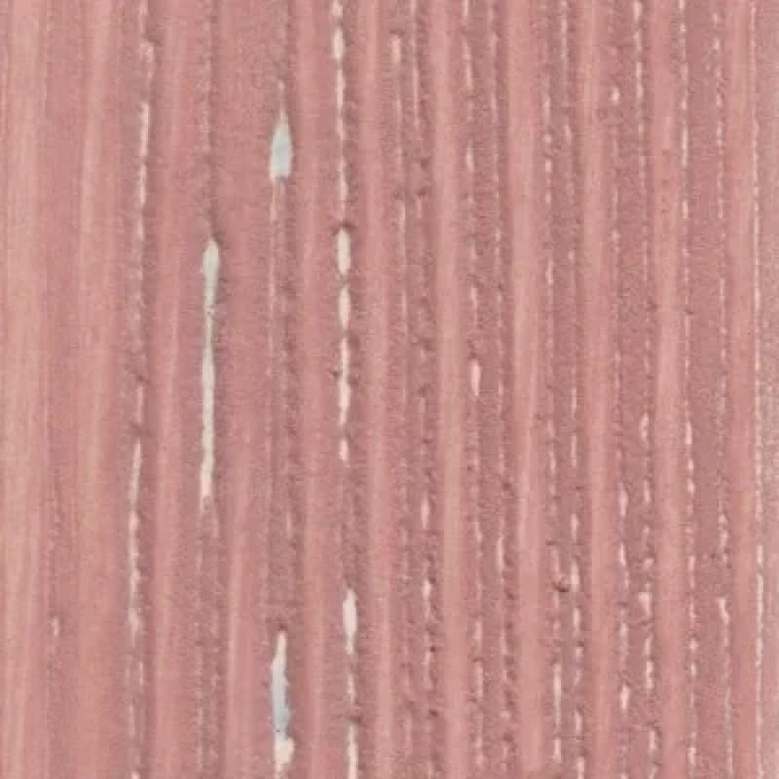 Cadence Eskitme Pudrası 70ml 705 Tarçın