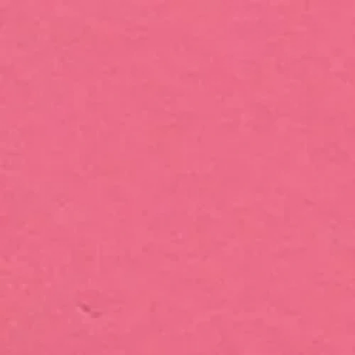 Cadence Premium Akrilik Boya 120ml 9038 S.pembe