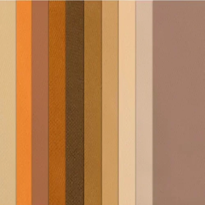 Canson 50x65 160g Fon Kartonu 10lu Kahve Tonlar