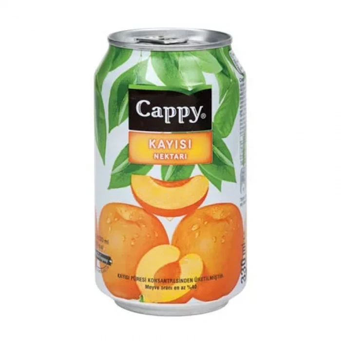 Cappy Kayısı Nektarı Kutu Meyve Suyu 330ml (12 Li Koli)