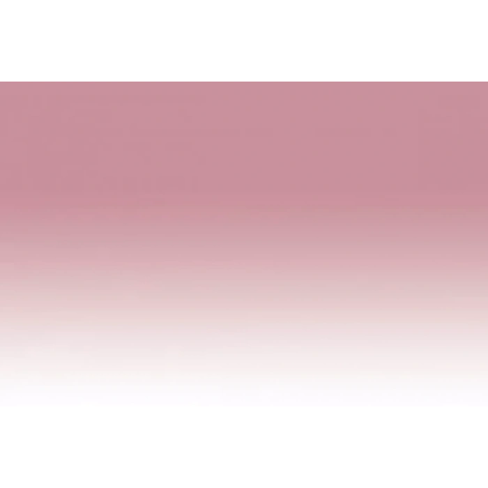 Chameleon Marker PK2 Dusty Rose