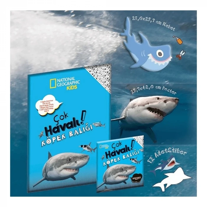 Çok Havalı Köpek Balığı