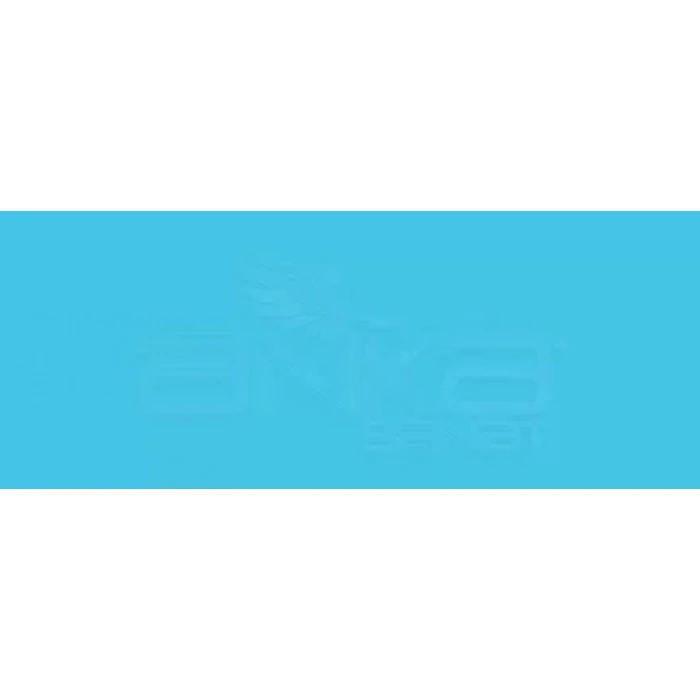 Copic Various Ink B05 Process Blue