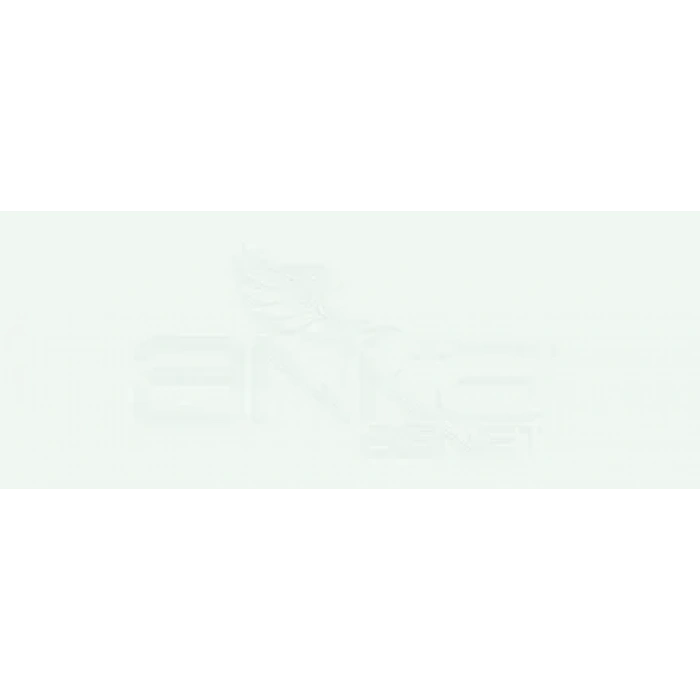 Copic Various Ink BG0000 Snow Green