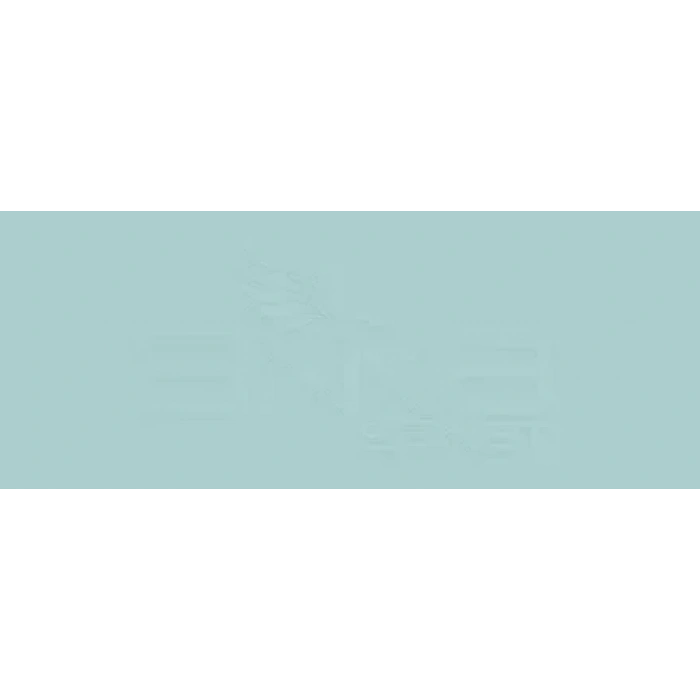 Copic Various Ink Bg53 Ice Mint