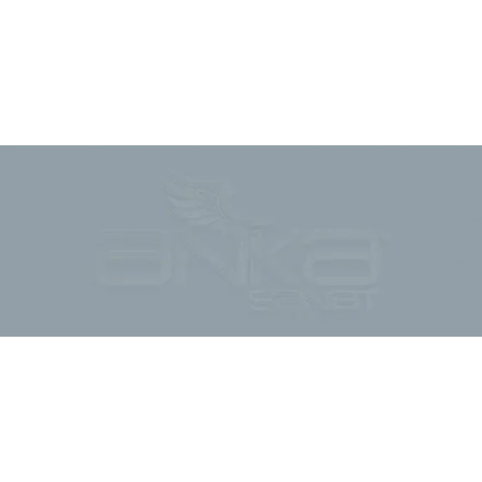 Copic Various Ink C-6 Cool Gray No.6