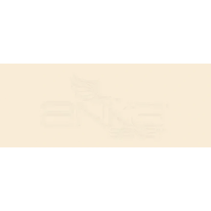 Copic Various Ink E30 Bisque