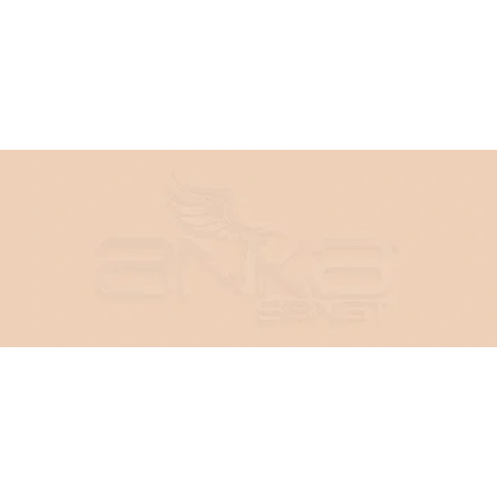 Copic Various Ink E34 Orientale