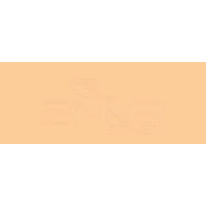 Copic Various Ink FYR1 Fluorescent Orange