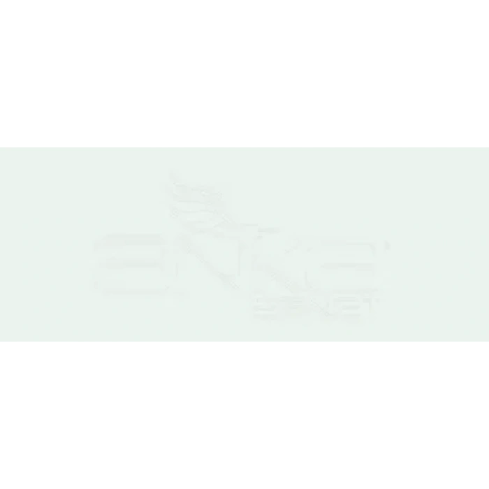 Copic Various Ink G000 Pale Green