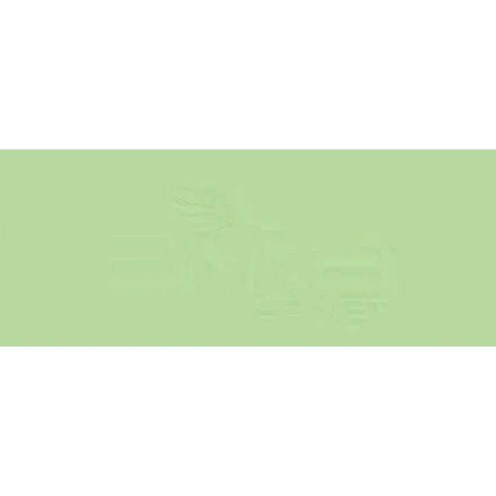 Copic Various Ink G03 Meadow Green