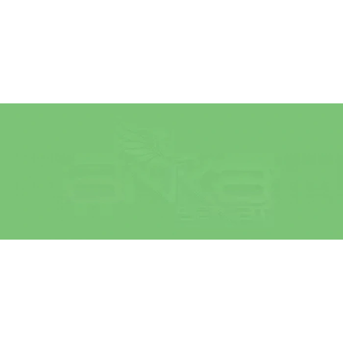 Copic Various Ink G07 Nile Green