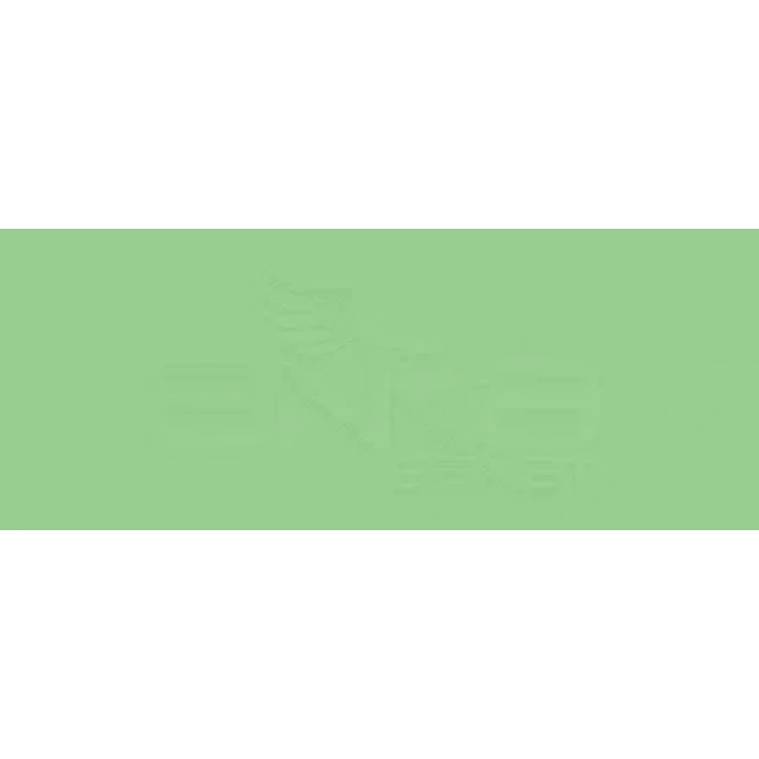 Copic Various Ink G14 Apple Green